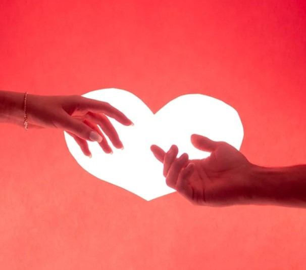 How to Find Your Ideal Partner: A Guide to the Perfect Match on Lagnavaarta.com